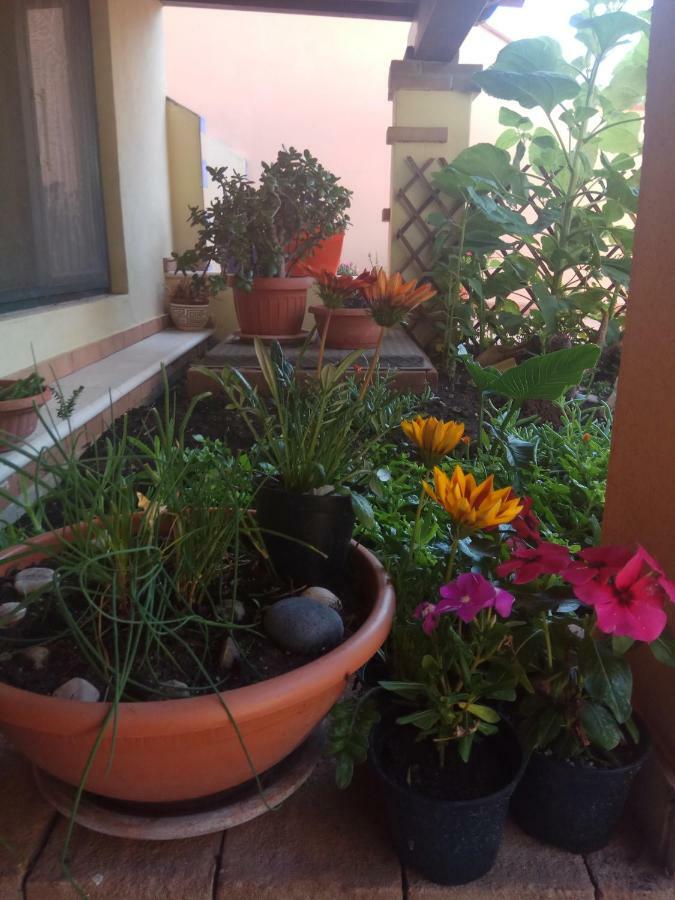 Appartamento In Zona Residenziale Orosei Exterior photo